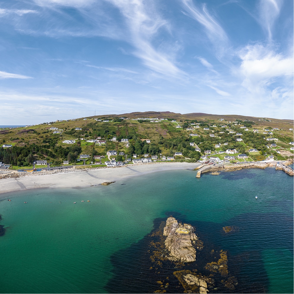 Book your Seal & Bird Watching Tour Now