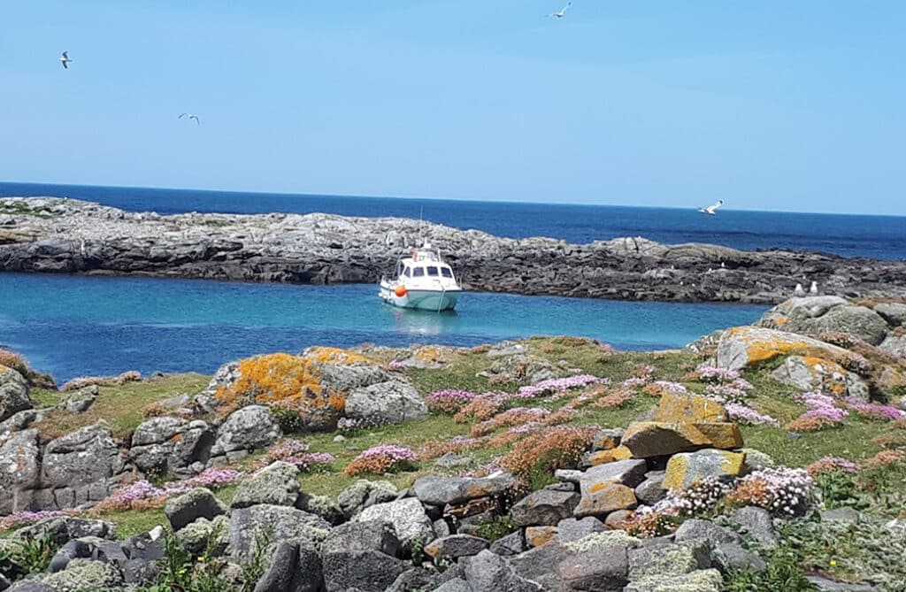 Half Day Sea Angling Trips