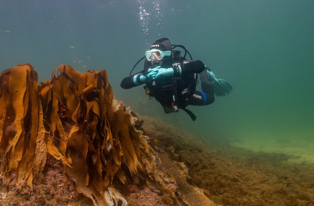 The Skijford Depth 30m